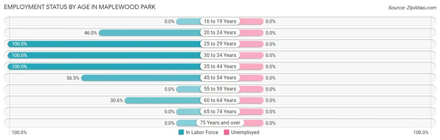 Employment Status by Age in Maplewood Park