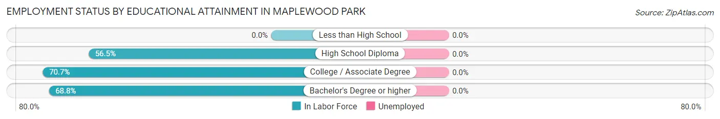 Employment Status by Educational Attainment in Maplewood Park