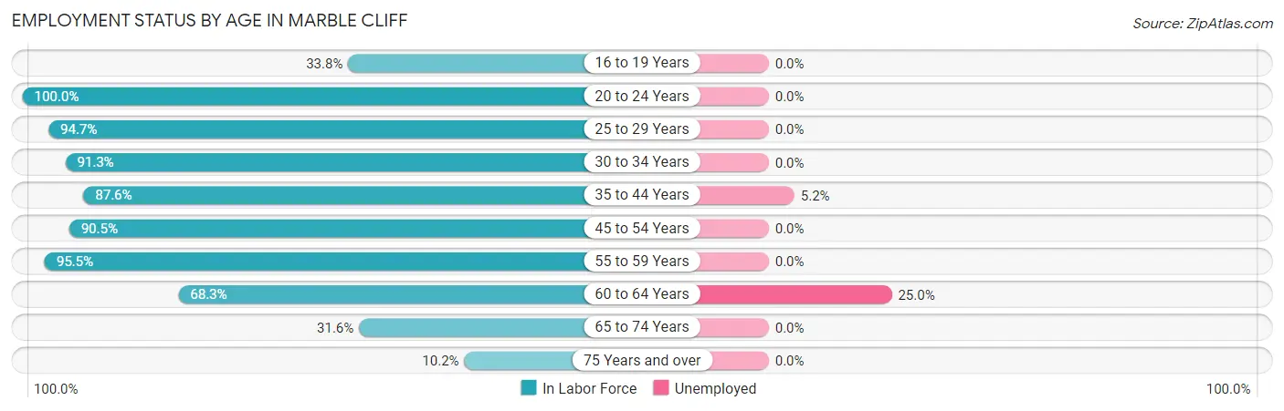 Employment Status by Age in Marble Cliff