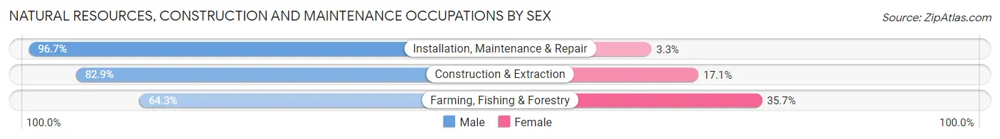 Natural Resources, Construction and Maintenance Occupations by Sex in Marion
