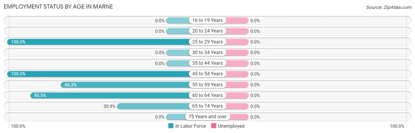 Employment Status by Age in Marne