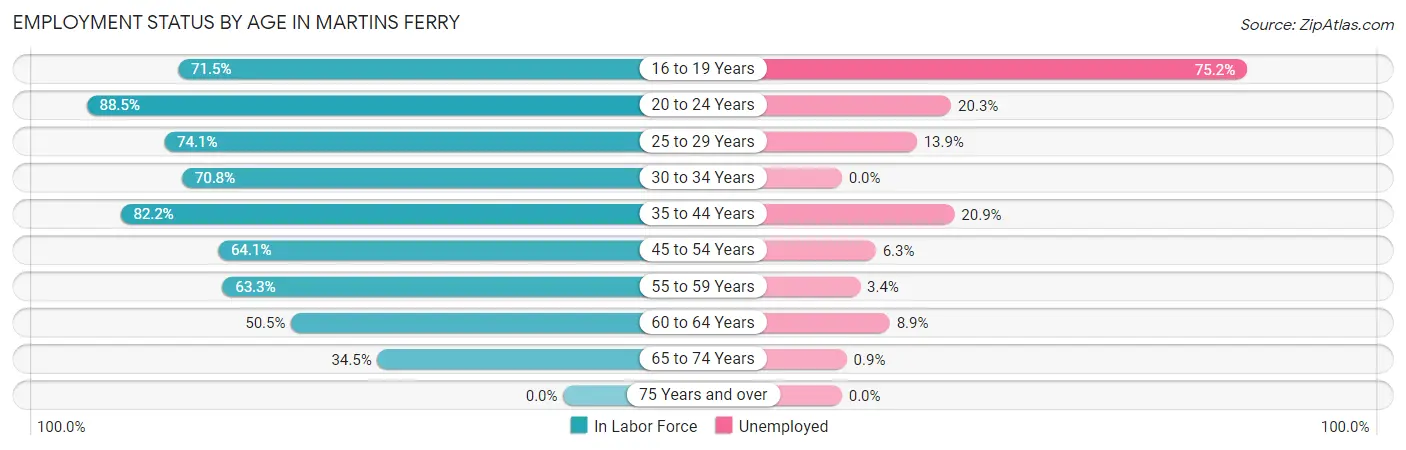 Employment Status by Age in Martins Ferry