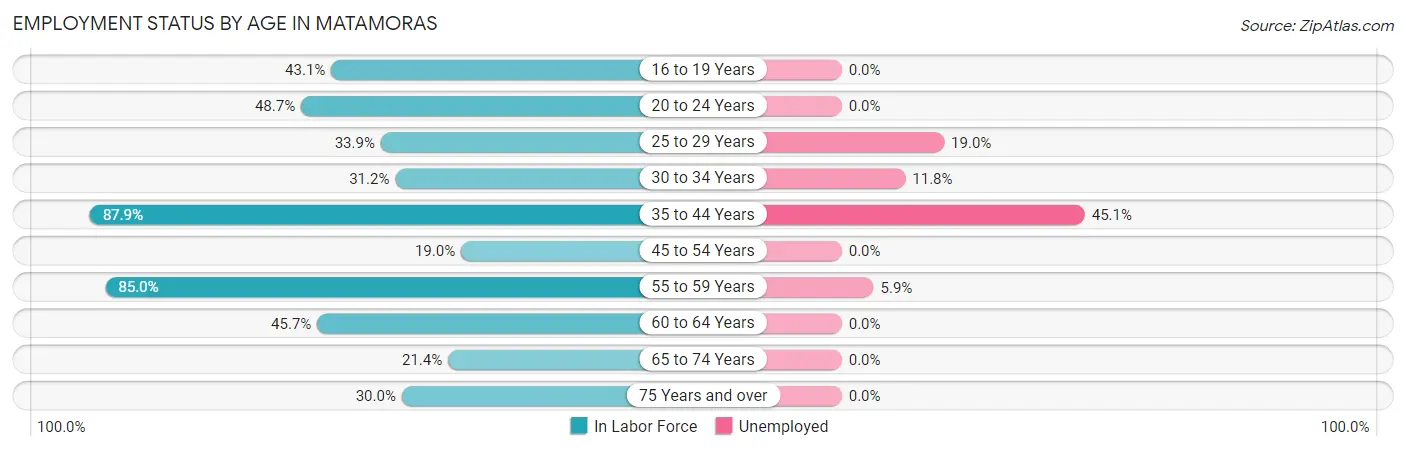 Employment Status by Age in Matamoras