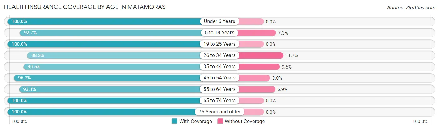 Health Insurance Coverage by Age in Matamoras