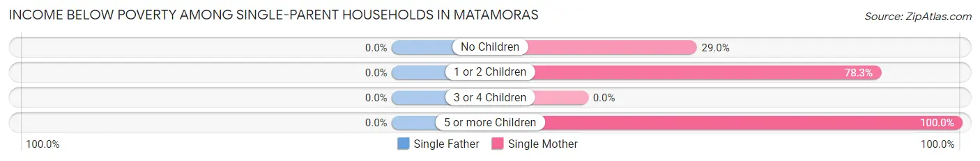 Income Below Poverty Among Single-Parent Households in Matamoras