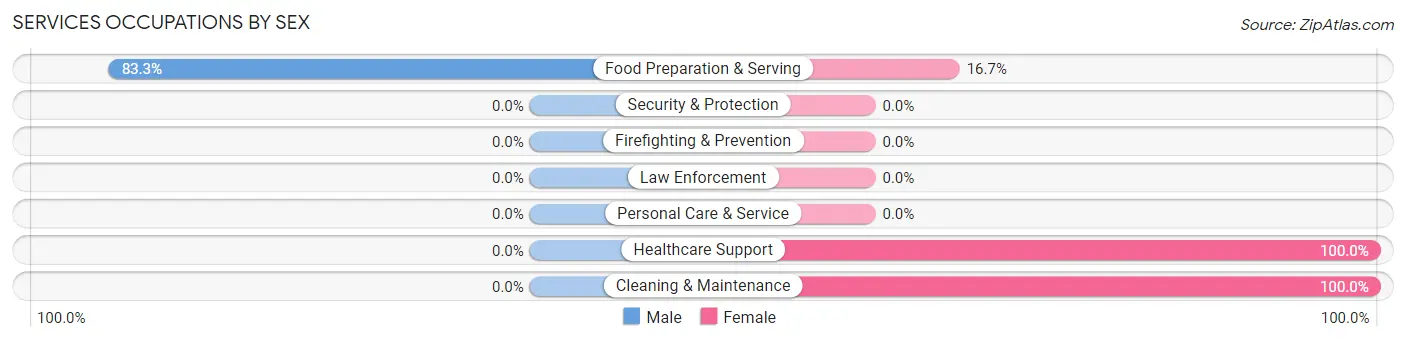 Services Occupations by Sex in Matamoras