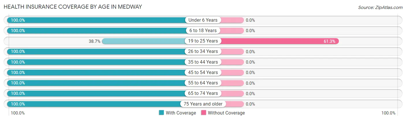 Health Insurance Coverage by Age in Medway