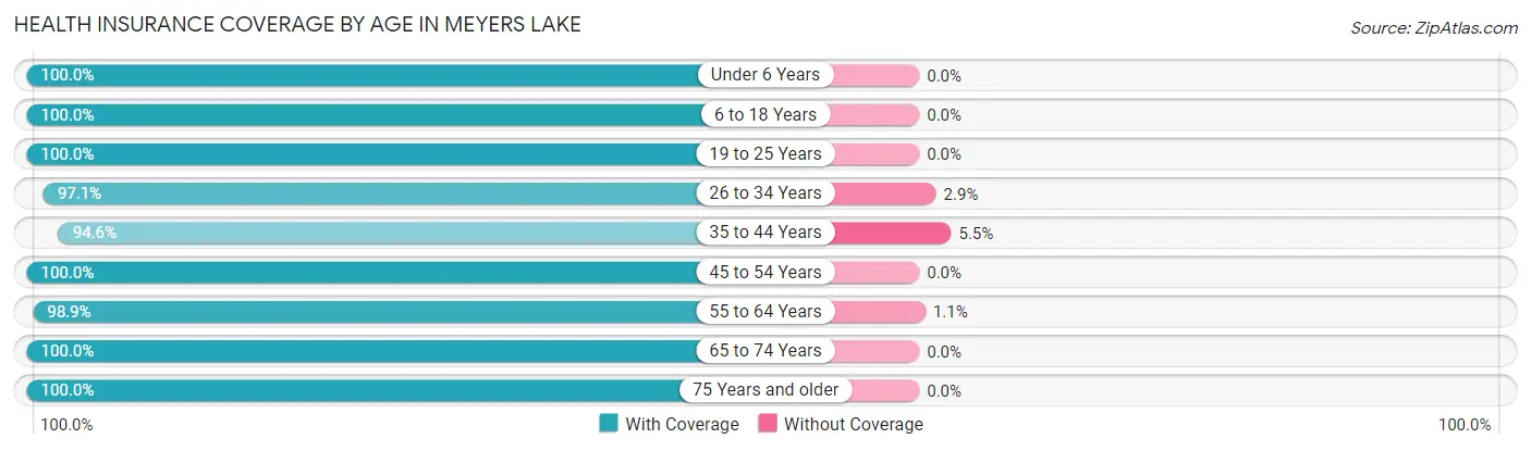 Health Insurance Coverage by Age in Meyers Lake
