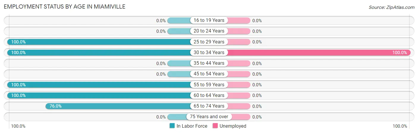 Employment Status by Age in Miamiville