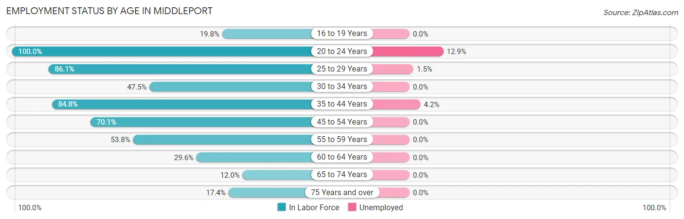 Employment Status by Age in Middleport