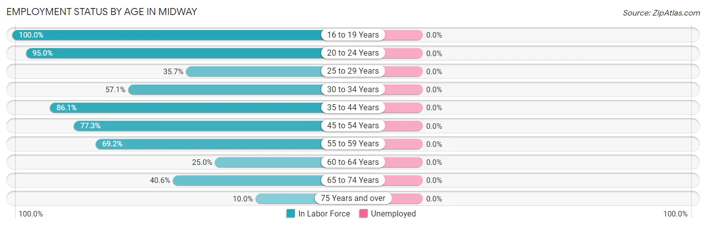 Employment Status by Age in Midway
