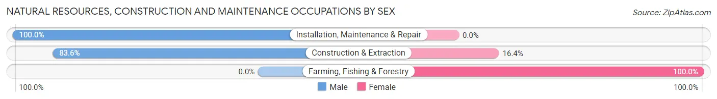Natural Resources, Construction and Maintenance Occupations by Sex in Milford