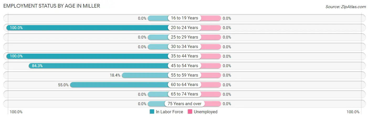 Employment Status by Age in Miller