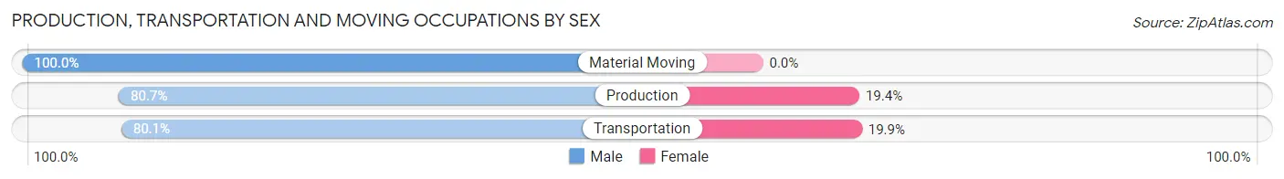 Production, Transportation and Moving Occupations by Sex in Mineral Ridge
