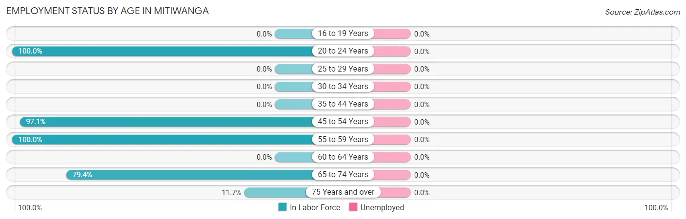 Employment Status by Age in Mitiwanga