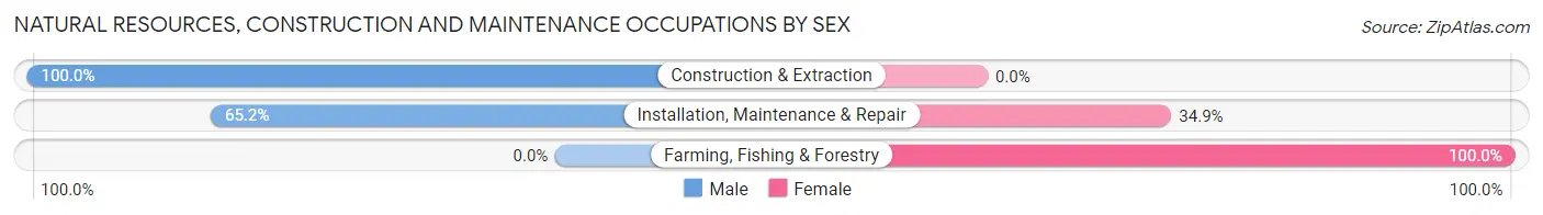 Natural Resources, Construction and Maintenance Occupations by Sex in Moraine
