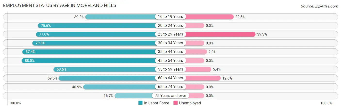 Employment Status by Age in Moreland Hills