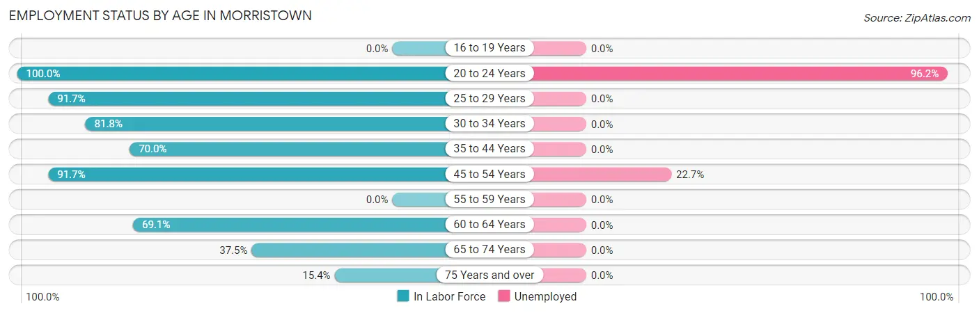 Employment Status by Age in Morristown