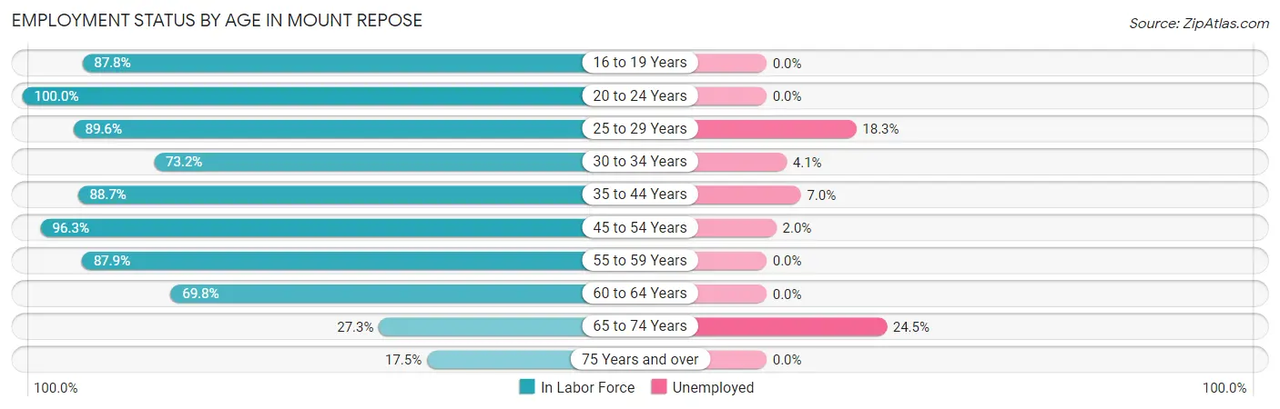 Employment Status by Age in Mount Repose