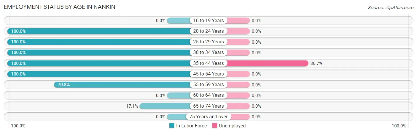 Employment Status by Age in Nankin