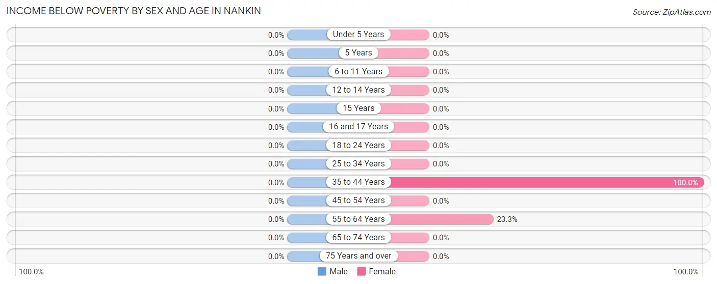 Income Below Poverty by Sex and Age in Nankin