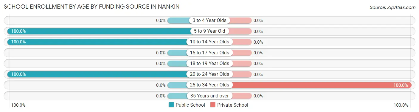 School Enrollment by Age by Funding Source in Nankin