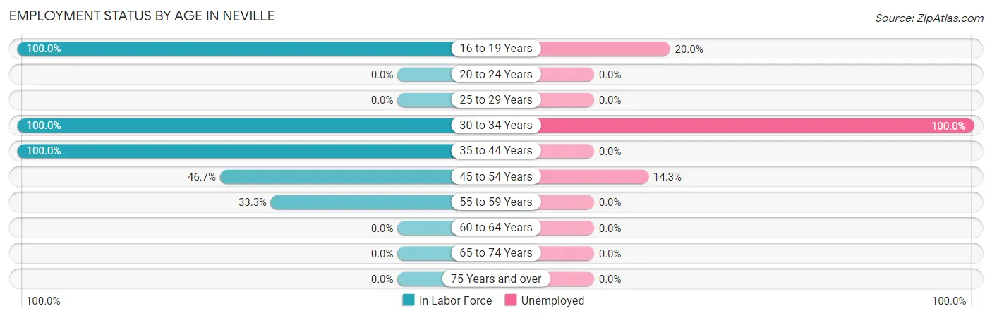 Employment Status by Age in Neville