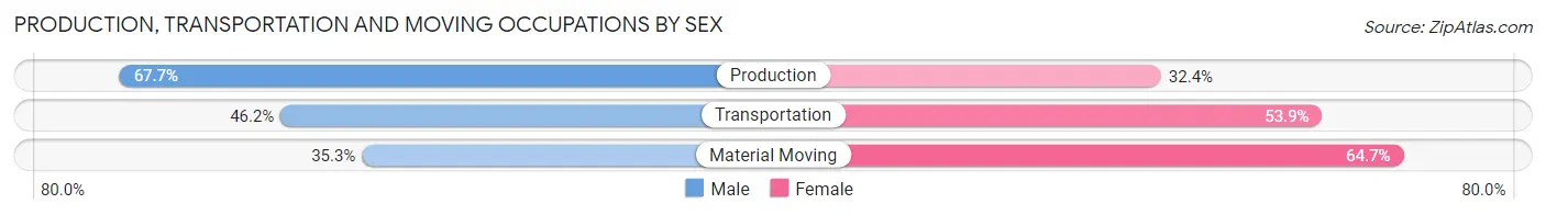 Production, Transportation and Moving Occupations by Sex in New Paris