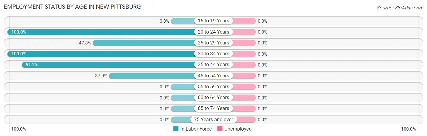 Employment Status by Age in New Pittsburg