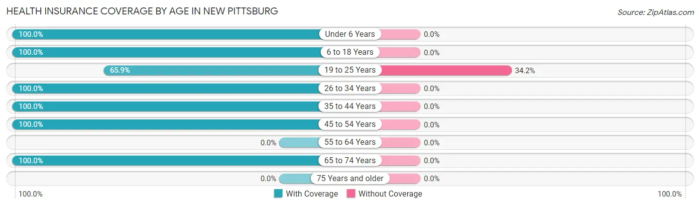 Health Insurance Coverage by Age in New Pittsburg