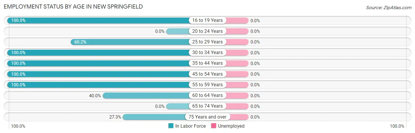 Employment Status by Age in New Springfield