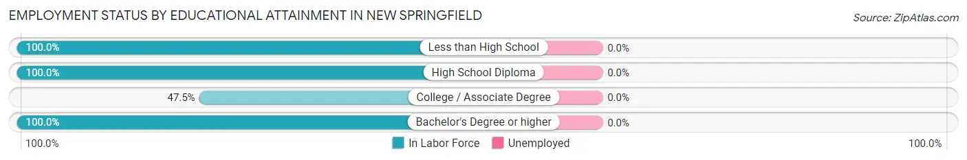 Employment Status by Educational Attainment in New Springfield
