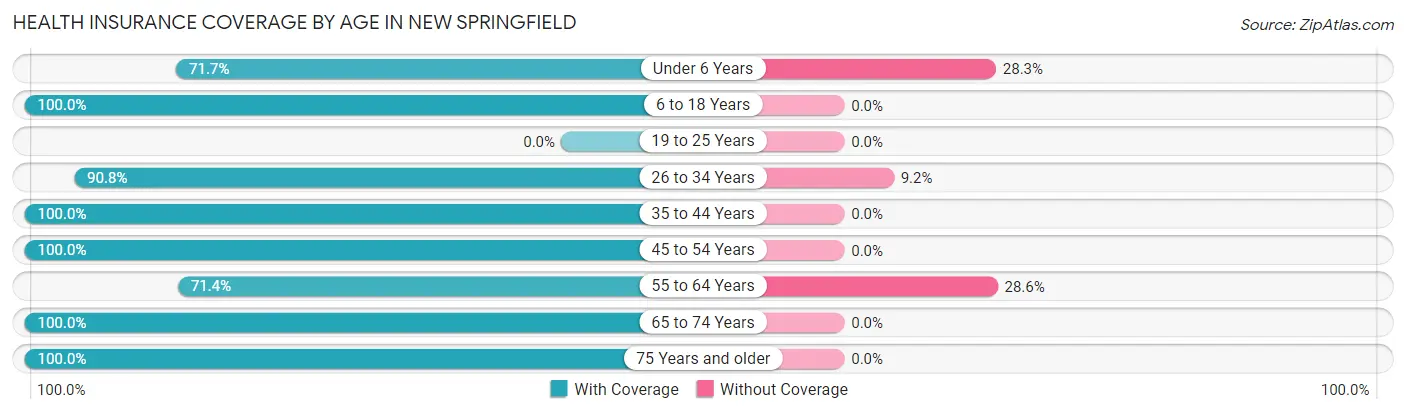 Health Insurance Coverage by Age in New Springfield