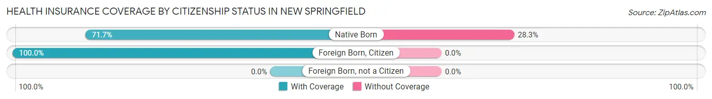 Health Insurance Coverage by Citizenship Status in New Springfield