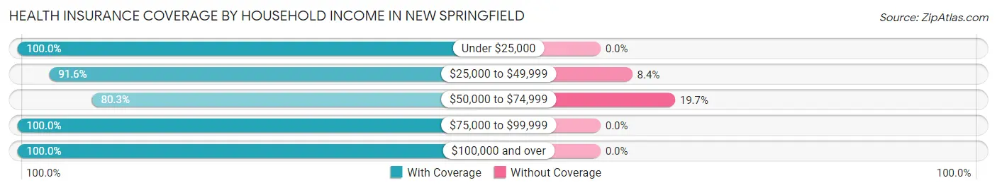 Health Insurance Coverage by Household Income in New Springfield