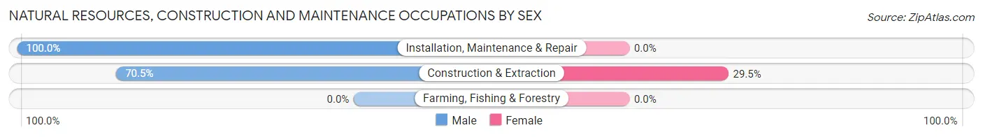 Natural Resources, Construction and Maintenance Occupations by Sex in North Baltimore