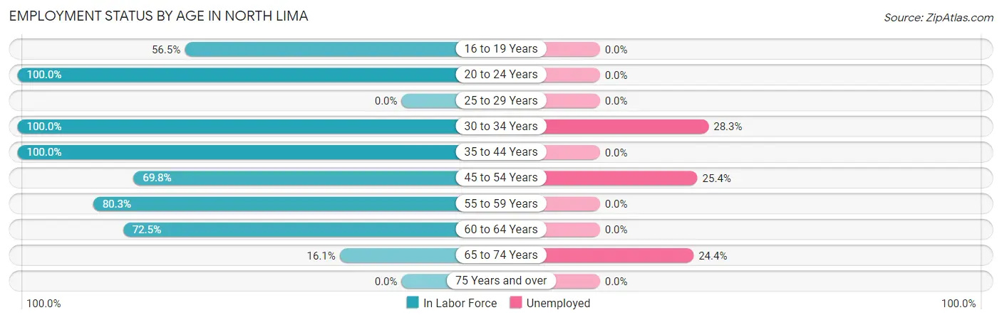 Employment Status by Age in North Lima