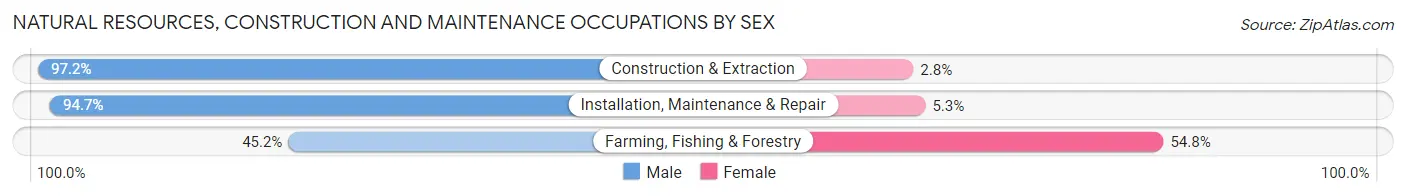 Natural Resources, Construction and Maintenance Occupations by Sex in North Olmsted