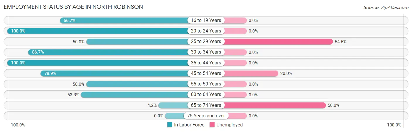 Employment Status by Age in North Robinson