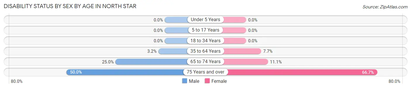 Disability Status by Sex by Age in North Star