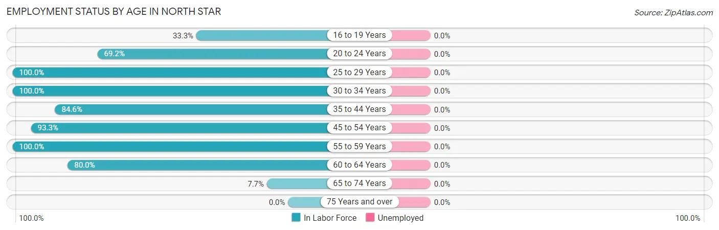 Employment Status by Age in North Star