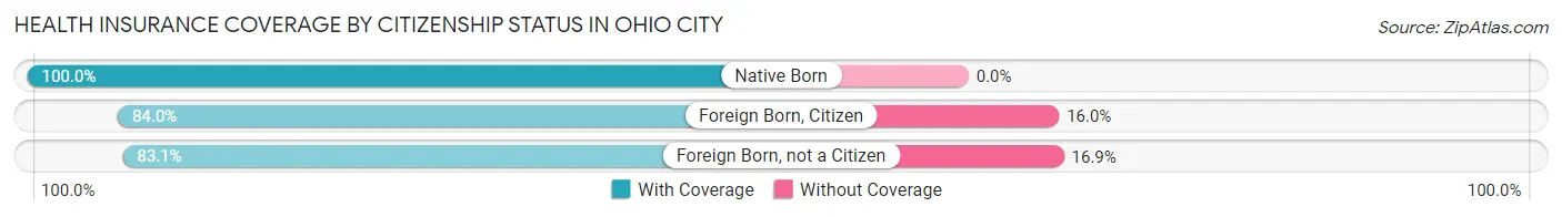 Health Insurance Coverage by Citizenship Status in Ohio City