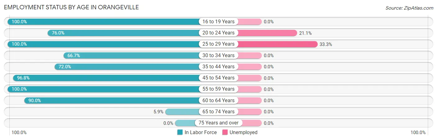 Employment Status by Age in Orangeville