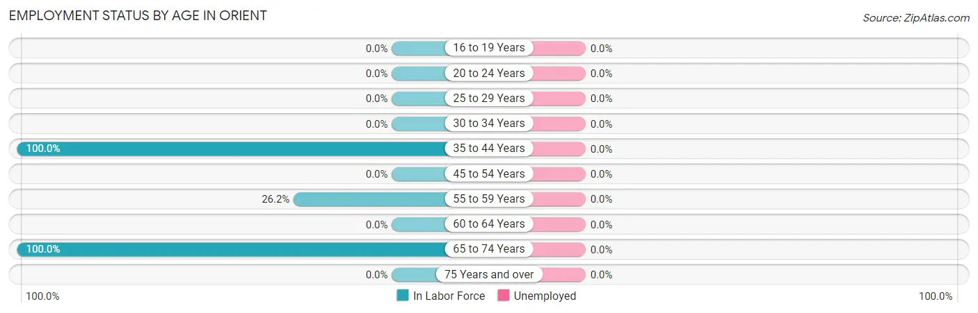 Employment Status by Age in Orient