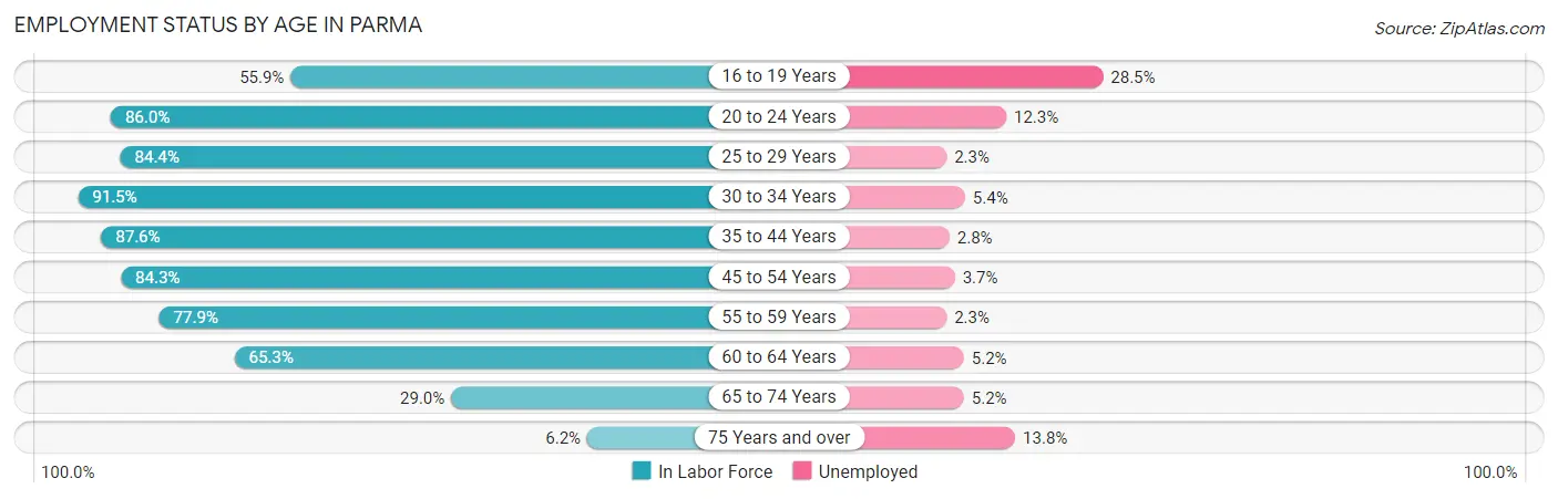 Employment Status by Age in Parma