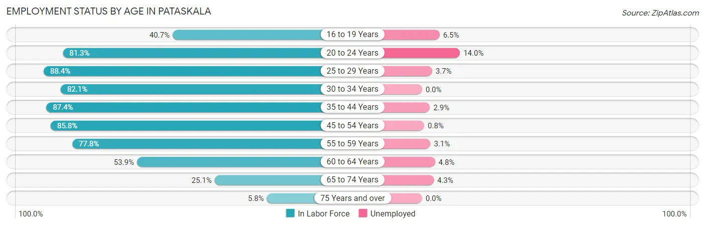 Employment Status by Age in Pataskala