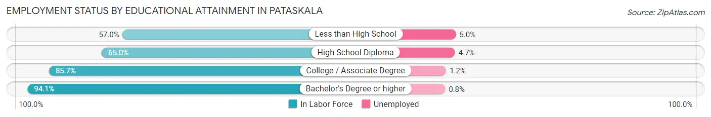 Employment Status by Educational Attainment in Pataskala