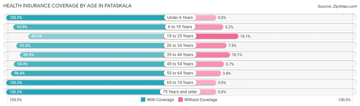 Health Insurance Coverage by Age in Pataskala