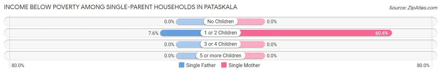 Income Below Poverty Among Single-Parent Households in Pataskala