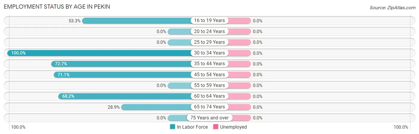 Employment Status by Age in Pekin